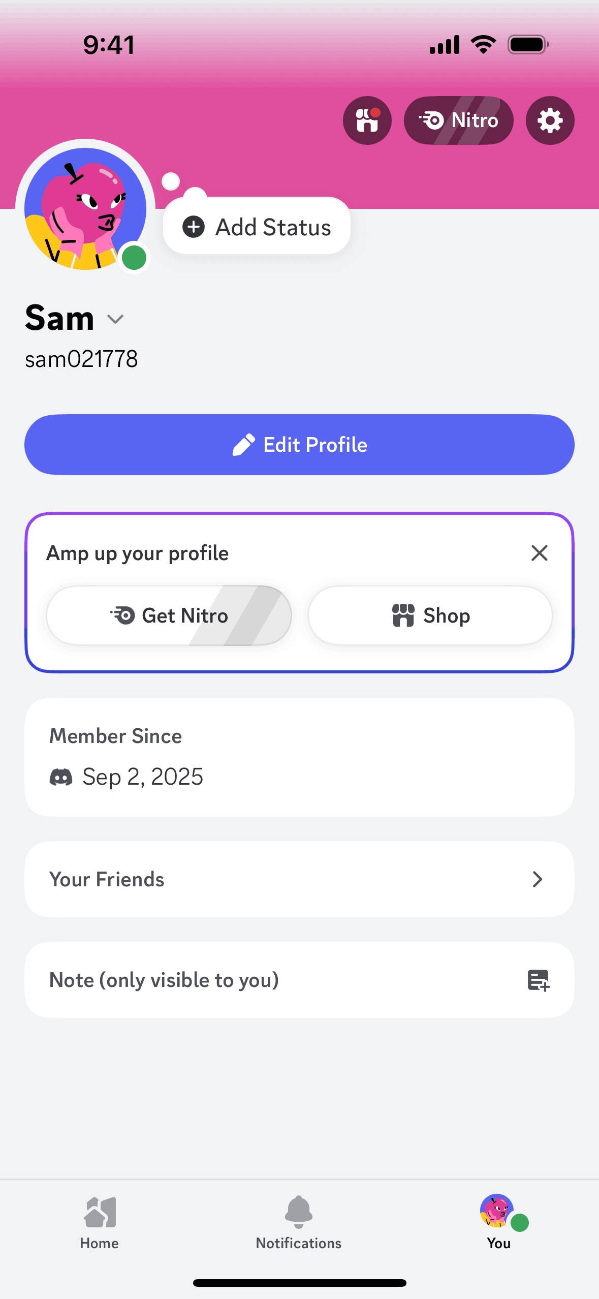 Profile on Discord (ios) screen 2