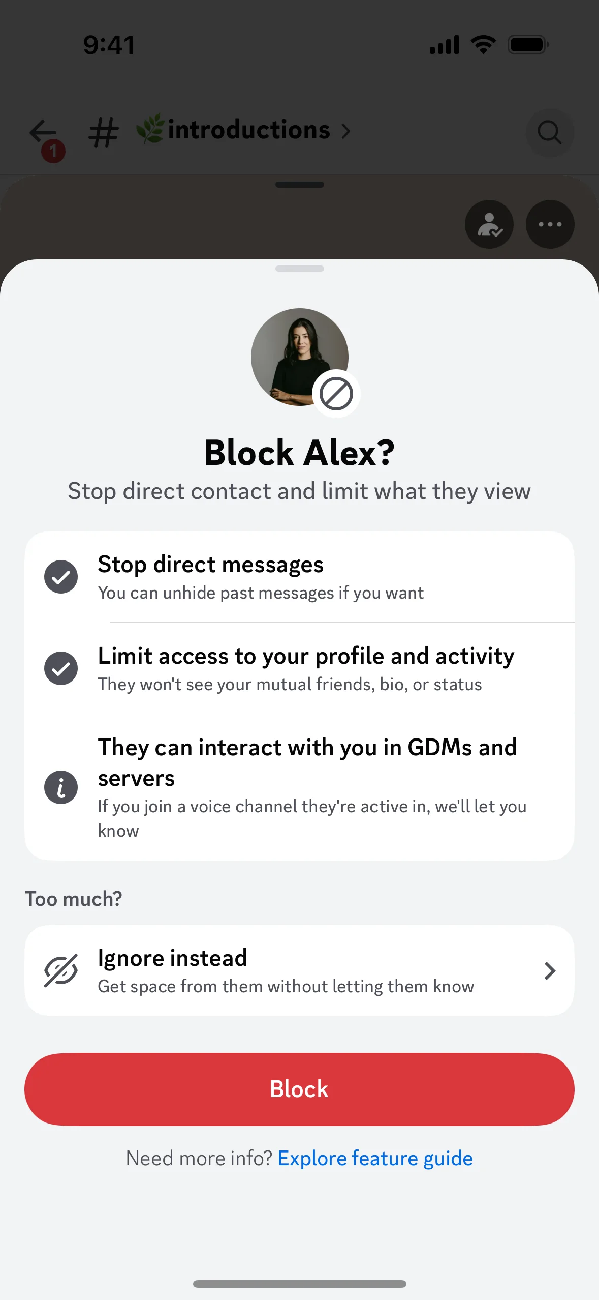 Blocking a user on Discord (ios) screen 2