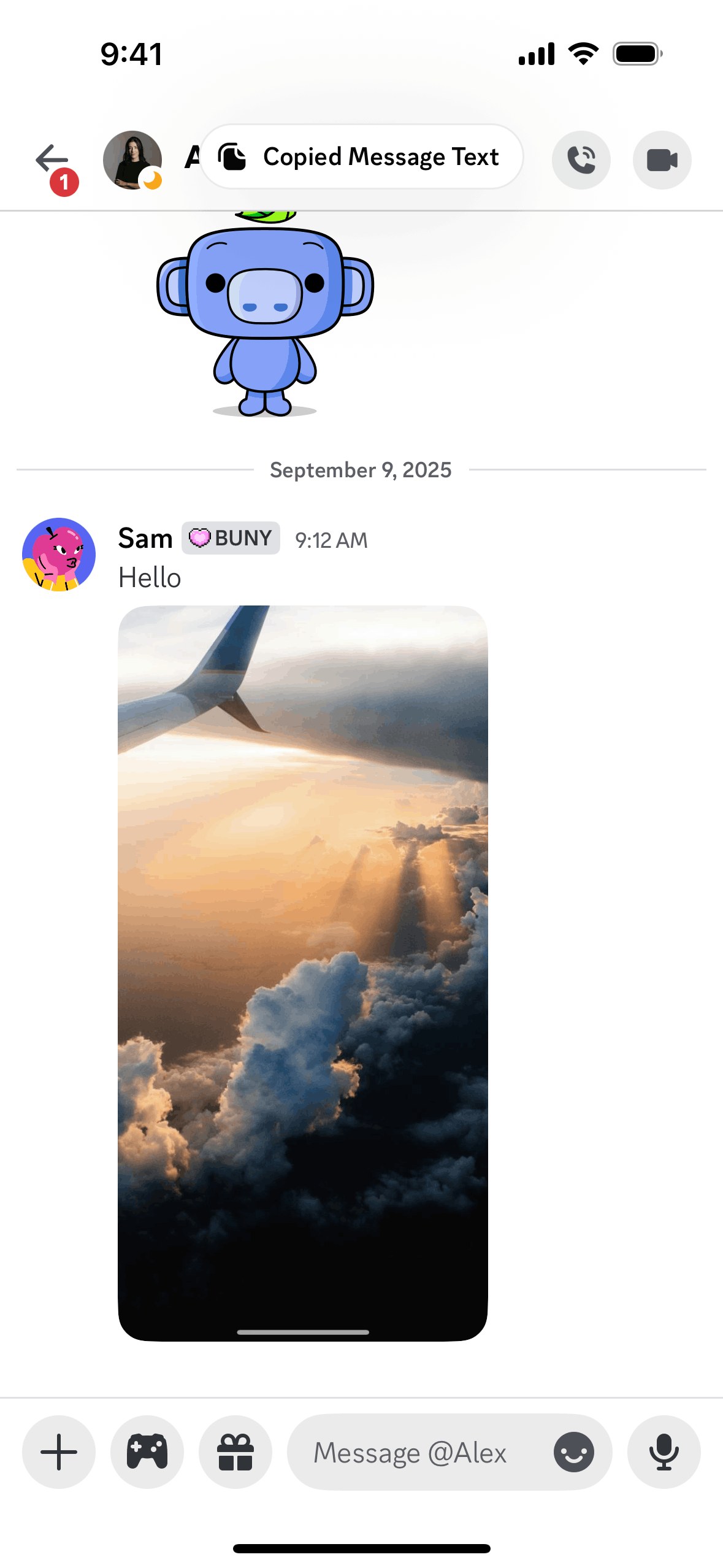 Copying a message text on Discord (ios) screen 2