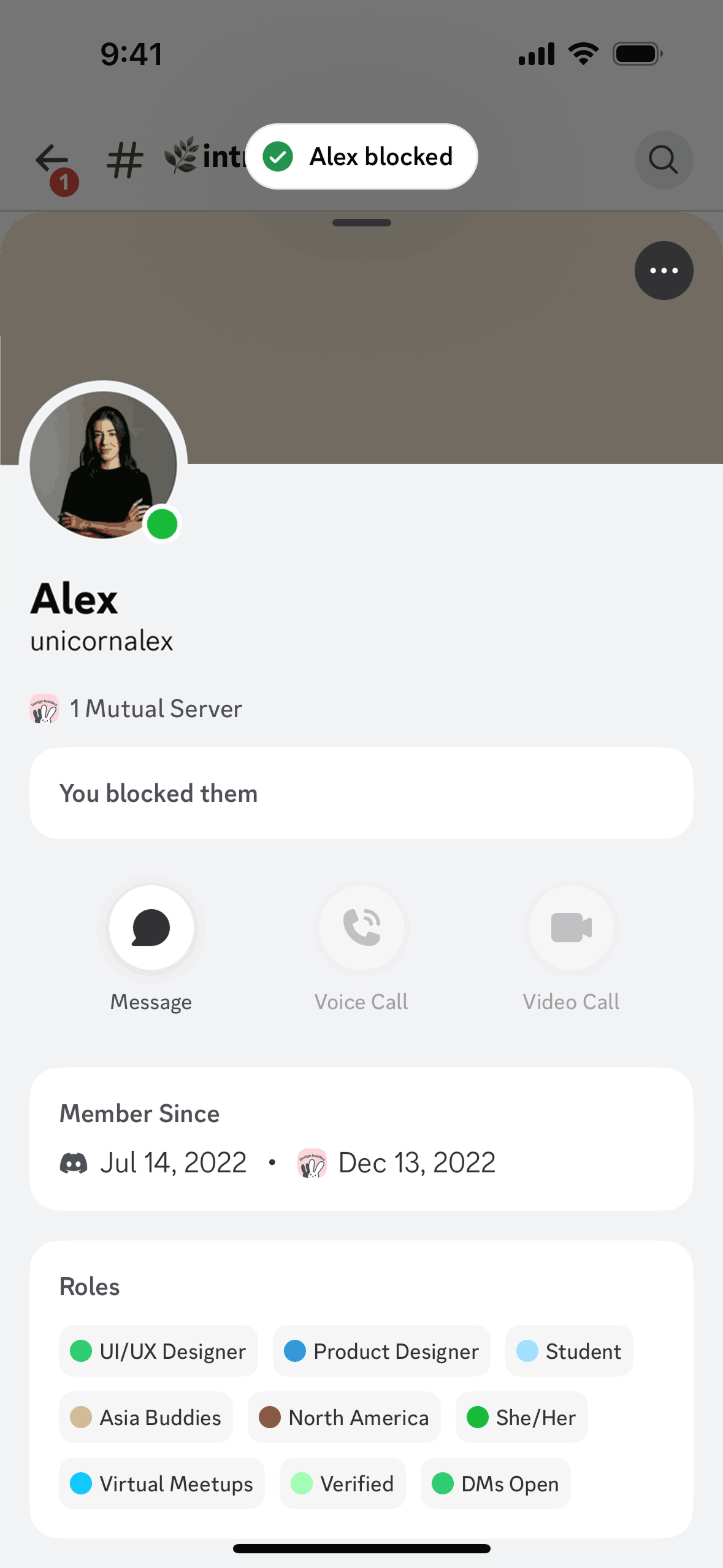Blocking a user on Discord (ios) screen 4